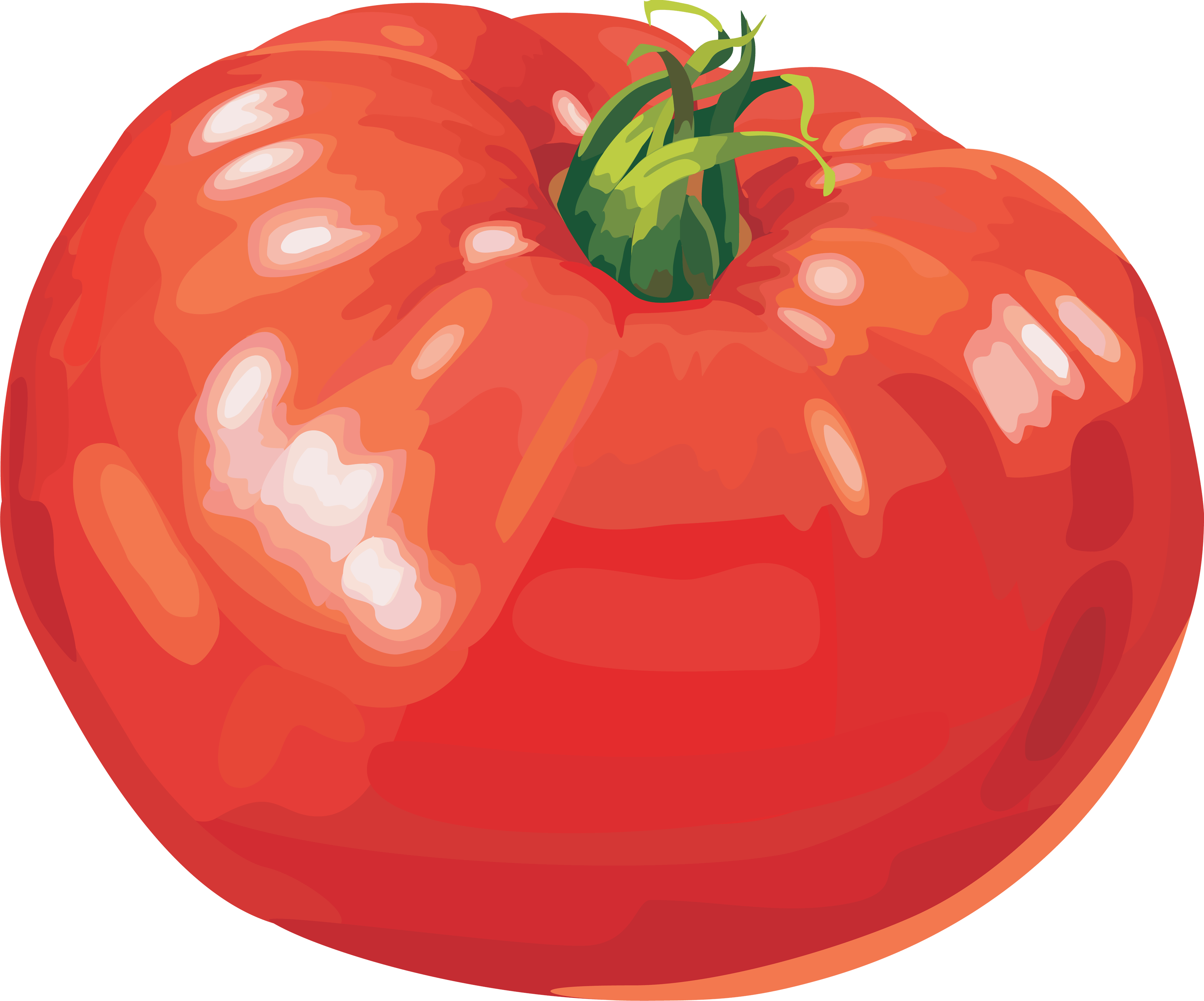Tomato Transparent PNG Image