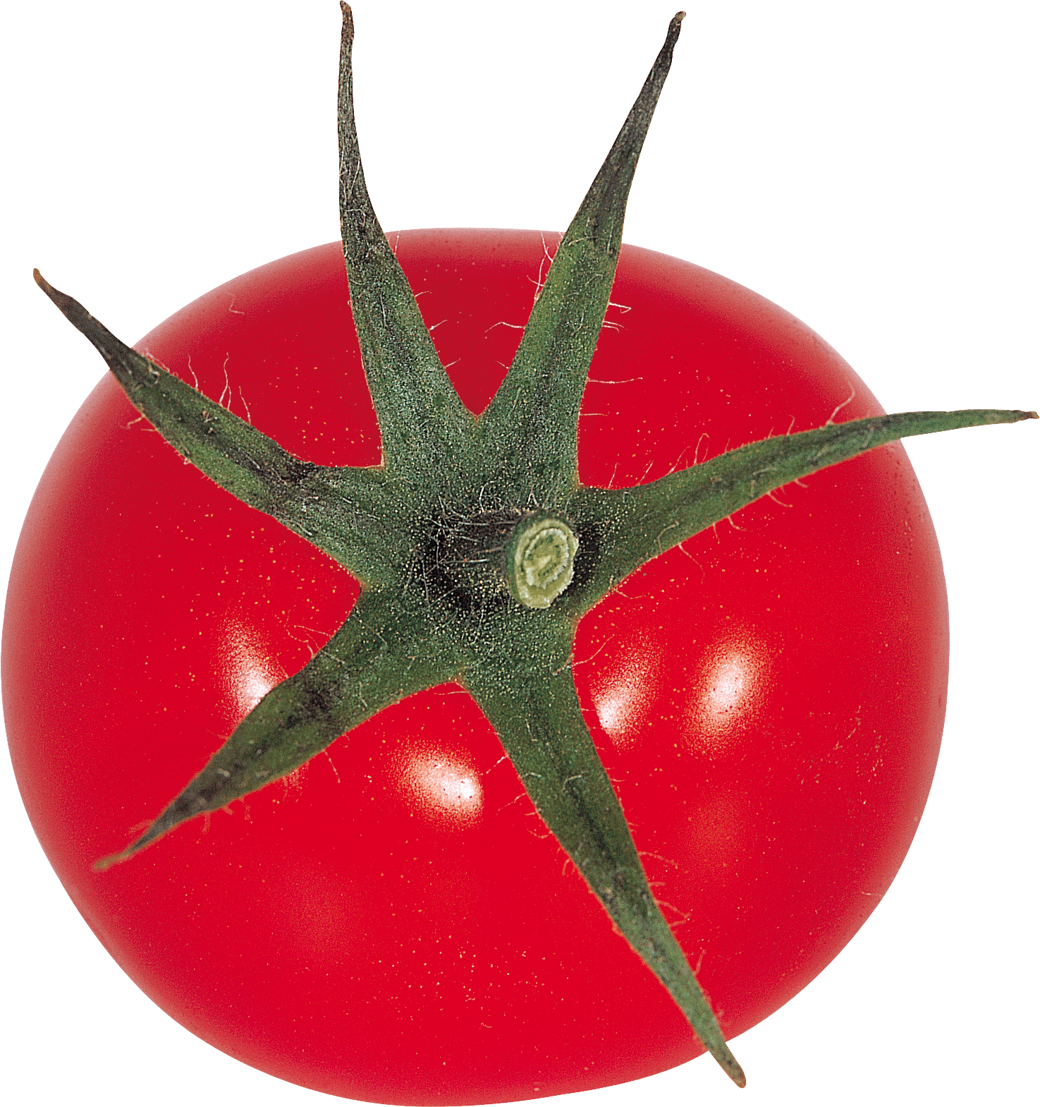 Tomato Transparent PNG Image
