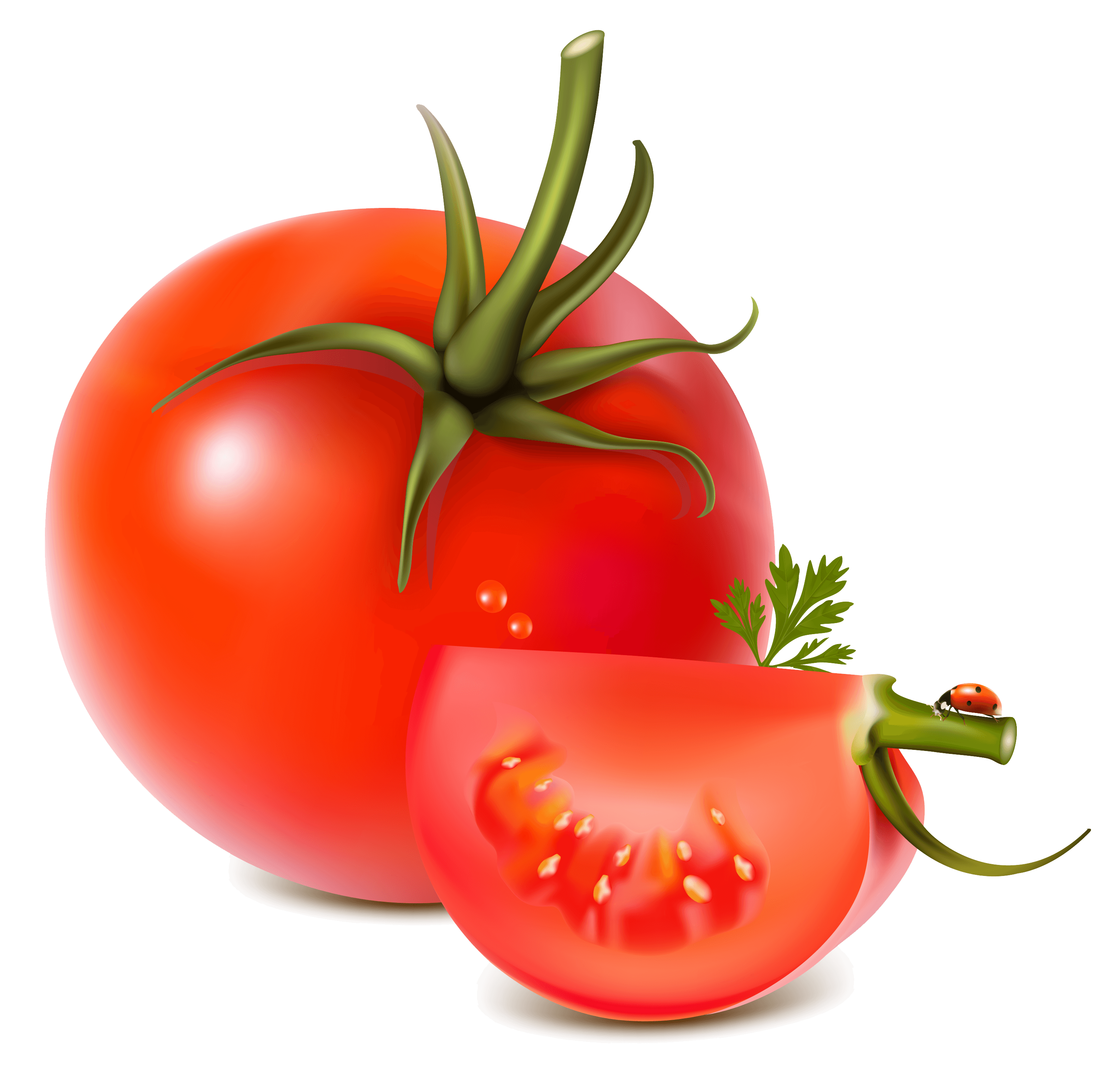 Tomato Transparent PNG Image