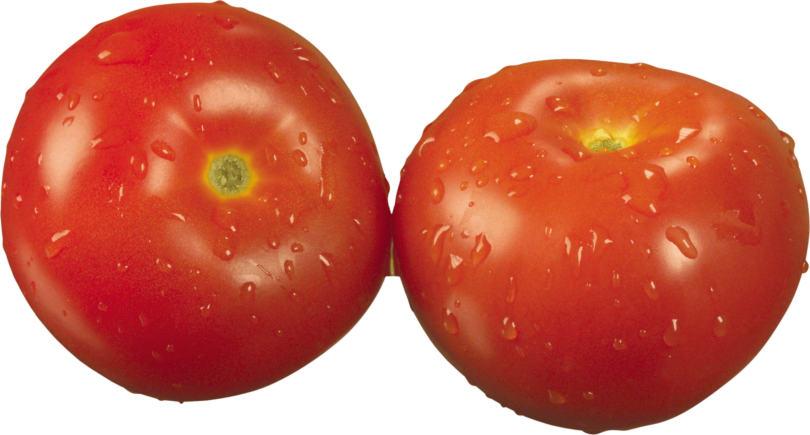 Tomato Transparent PNG Image