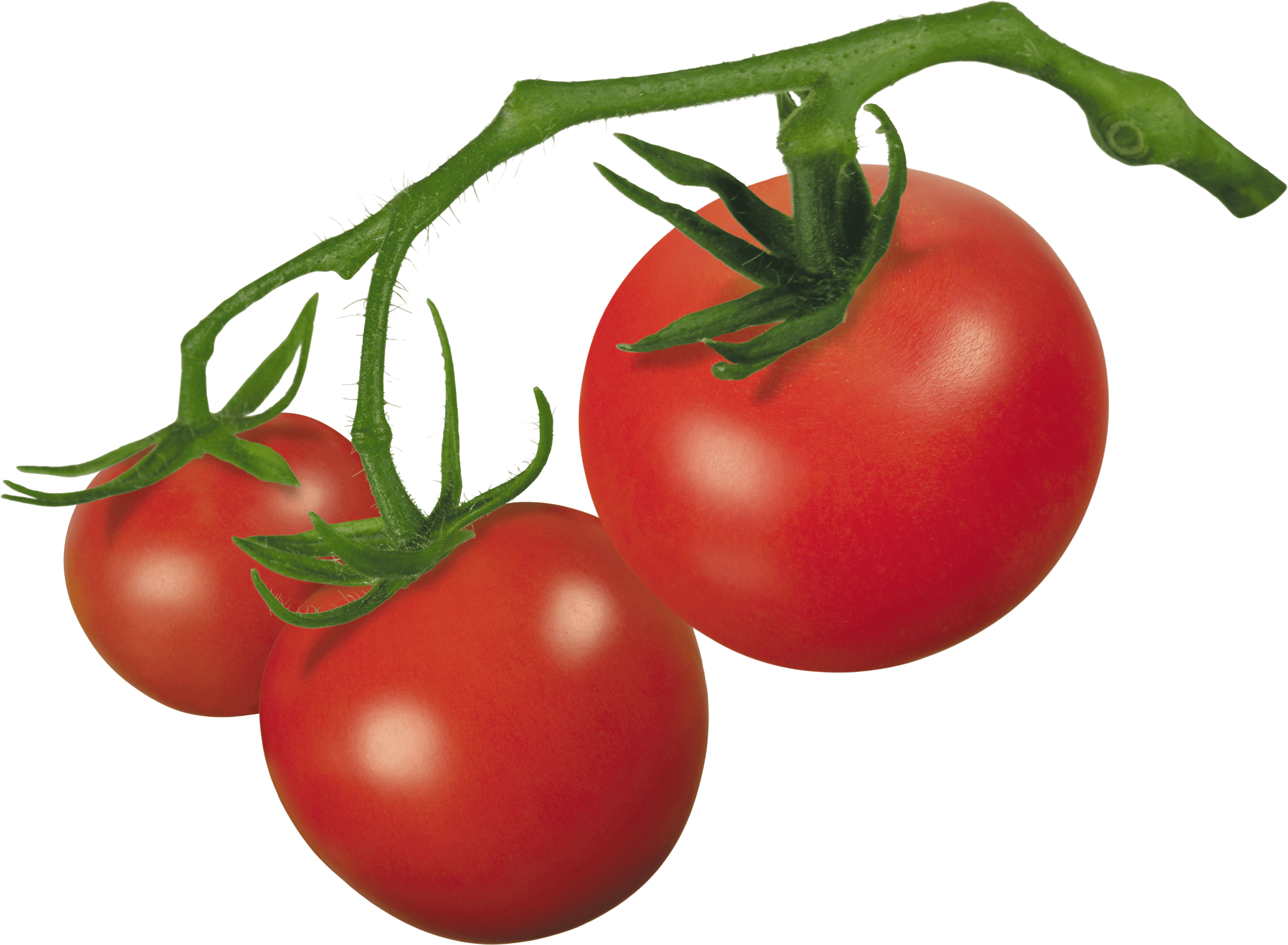 Tomato Transparent PNG Image