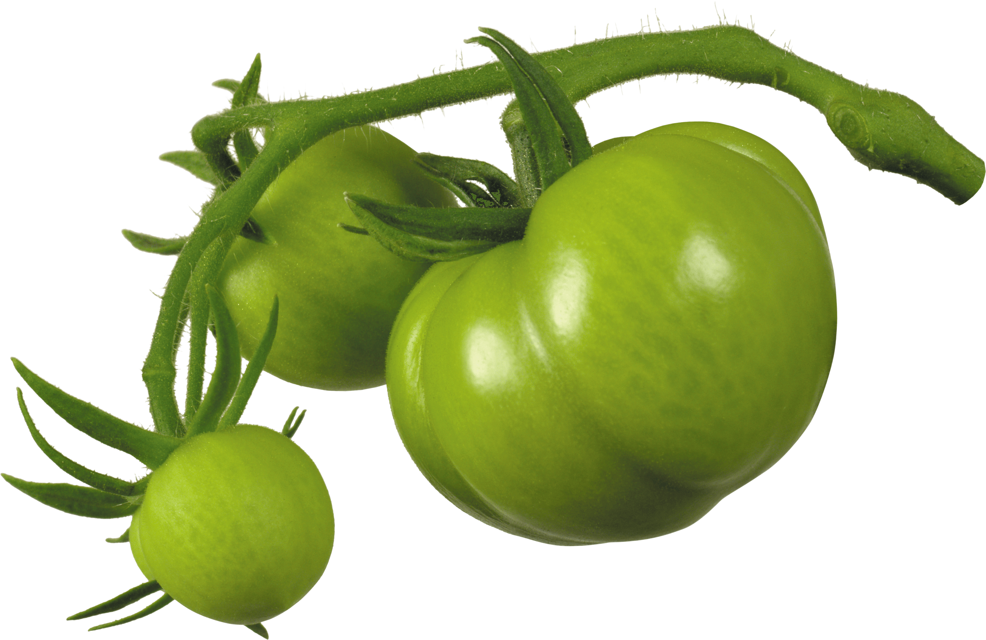 Tomato Transparent PNG Image