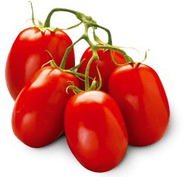 Tomato Transparent PNG Image