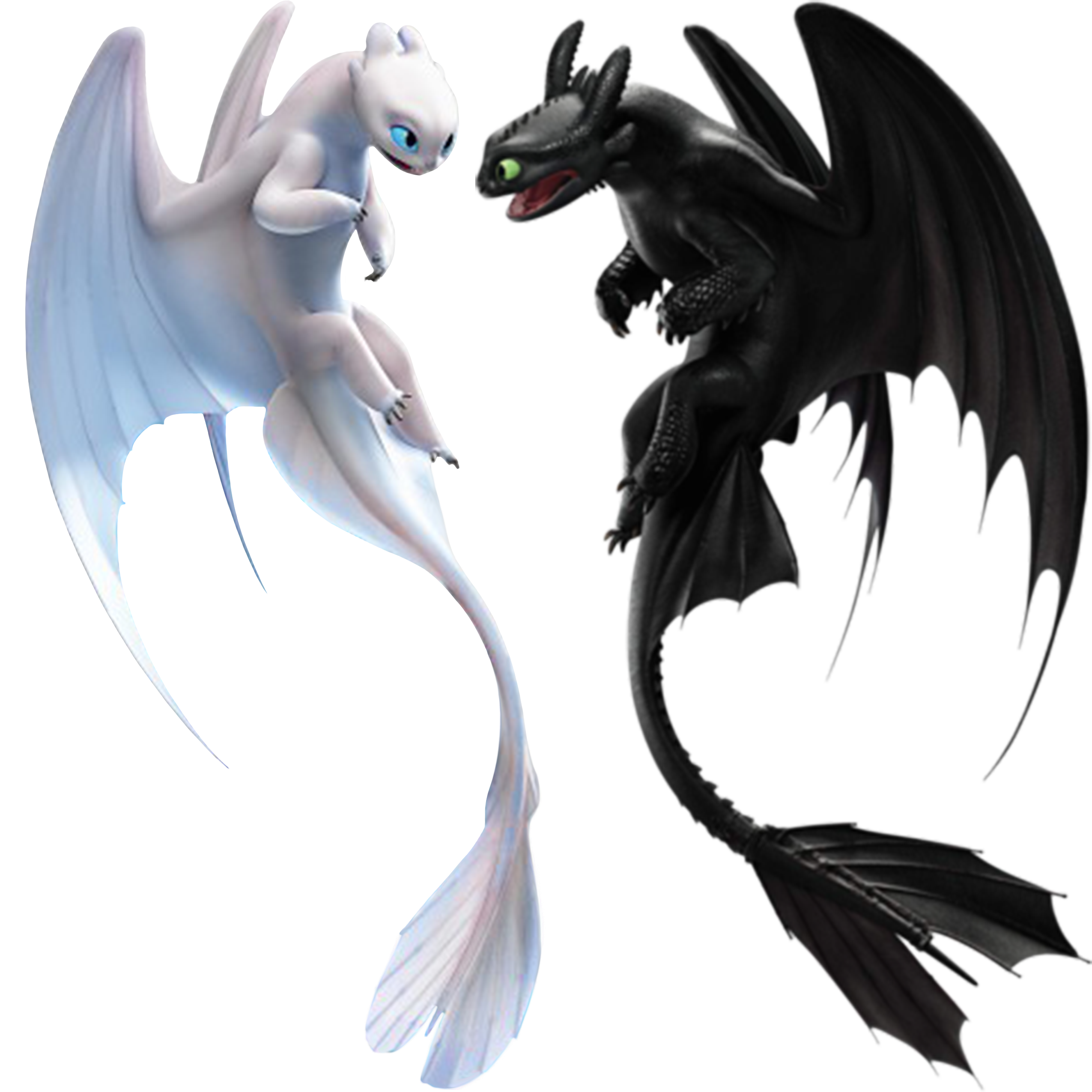 Fury Toothless Night Transparent PNG Image