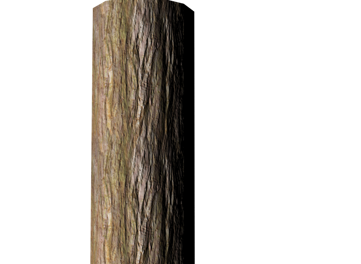 Tree Branch Trunk Transparent PNG Image