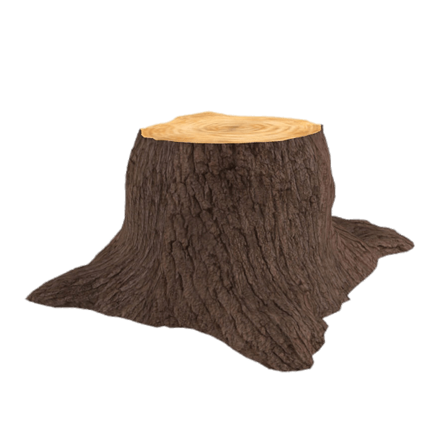 Tree Stump Trunk Transparent PNG Image