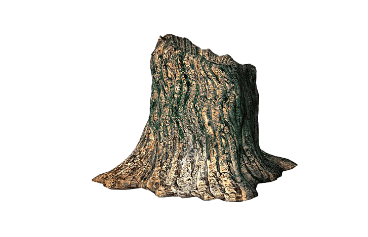 Tree Stump Trunk File Transparent PNG Image