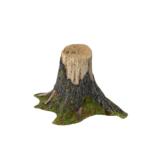Tree Stump Trunk Transparent PNG Image