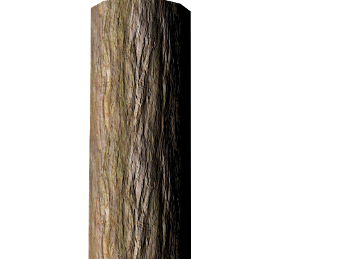 Tree Trunk Transparent PNG Image