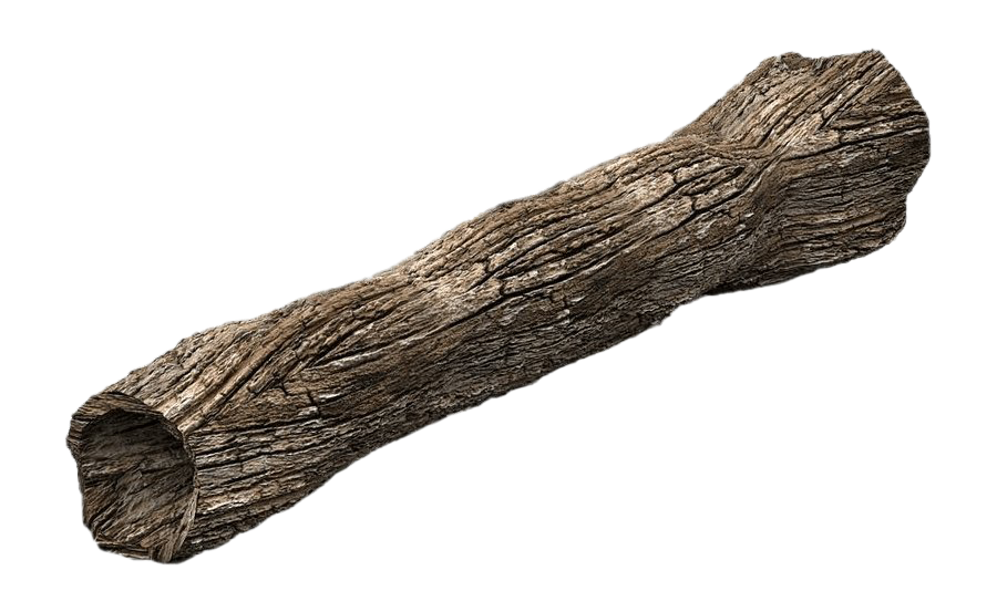 Tree Trunk Transparent PNG Image