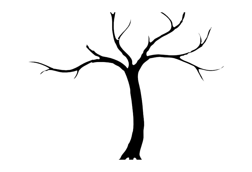 Tree Trunk Transparent PNG Image