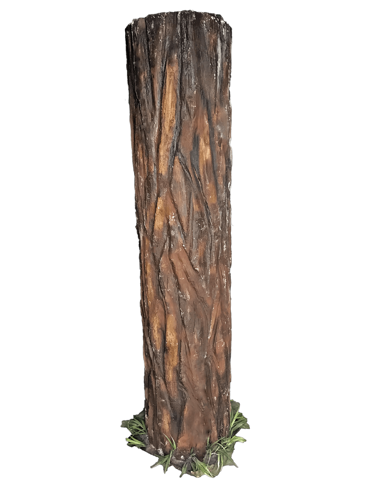 Pic Tree Trunk Transparent PNG Image