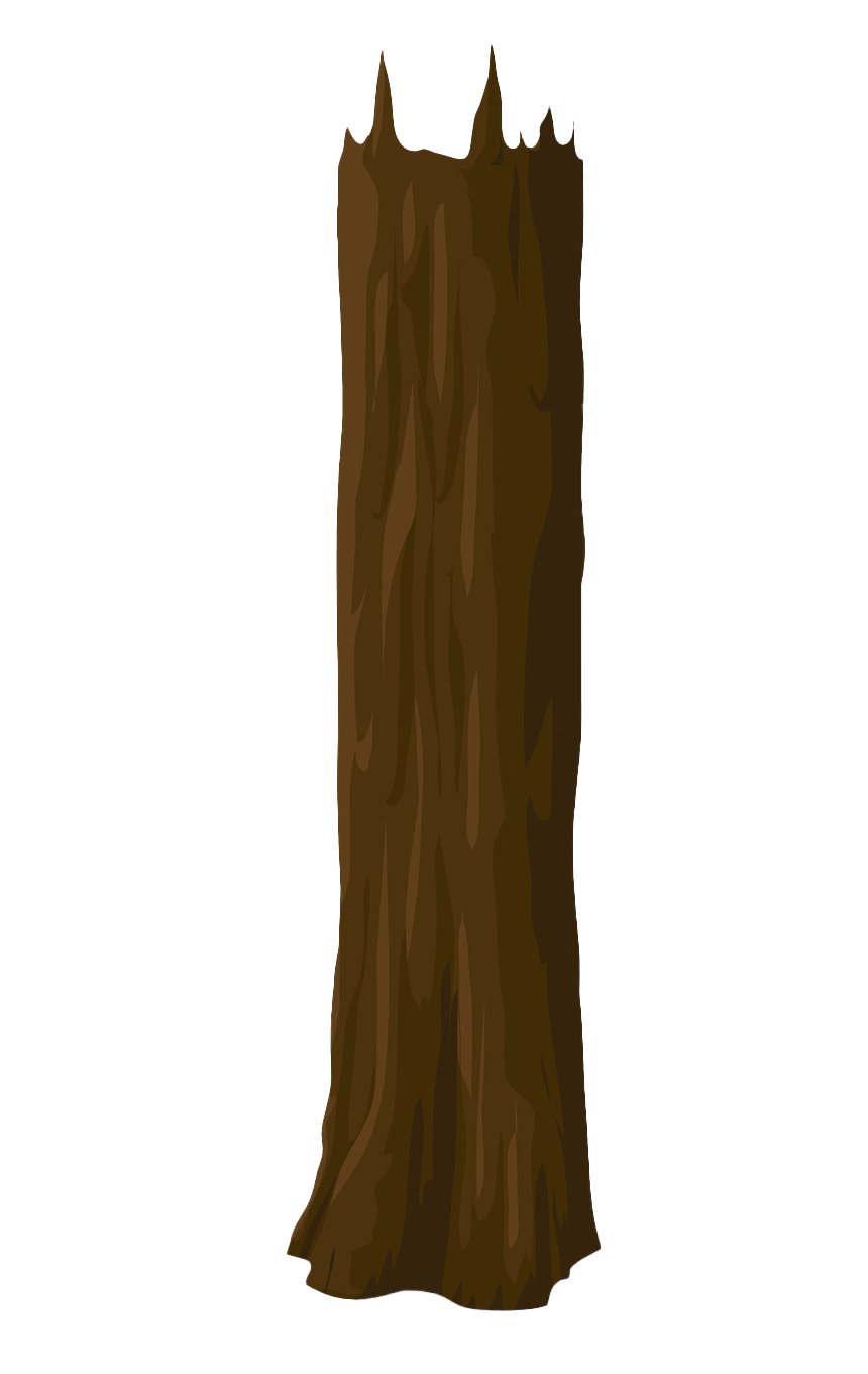 Tree Trunk Transparent PNG Image