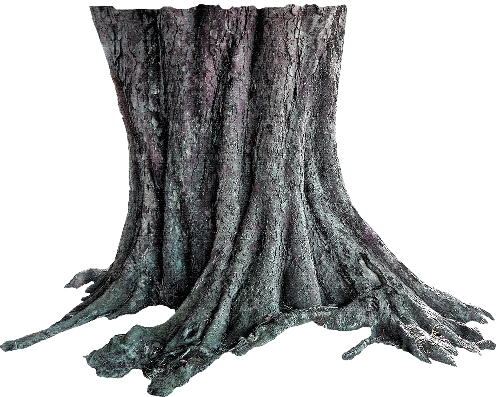 Tree Trunk Transparent PNG Image