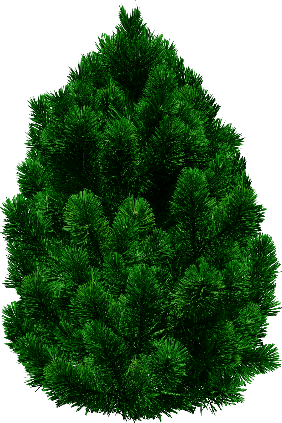 Tree Transparent PNG Image