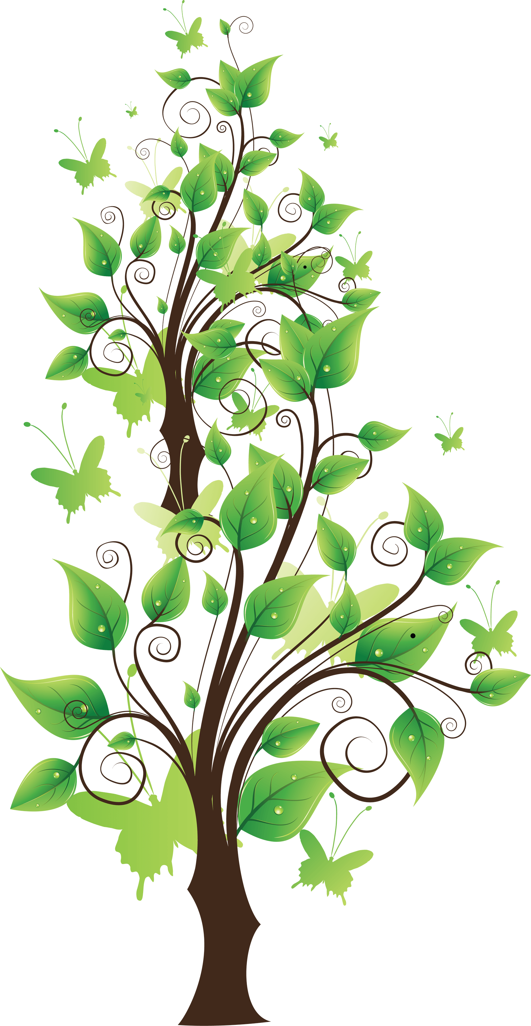 Tree Transparent PNG Image