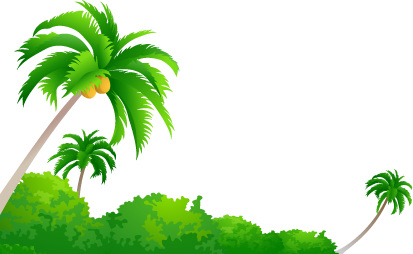 Coconut Tree Transparent PNG Image