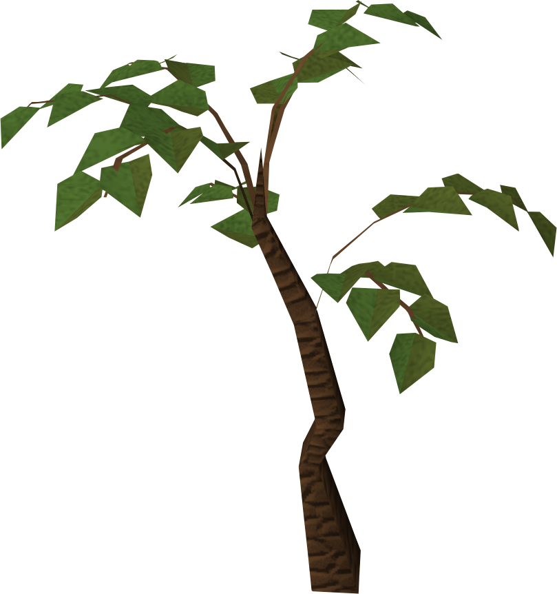 Jungle Tree Transparent PNG Image