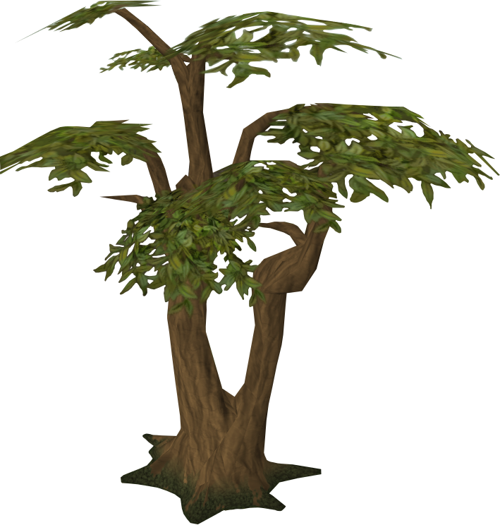 Jungle Tree Transparent PNG Image