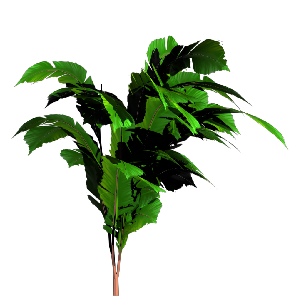 Jungle Tree Transparent PNG Image