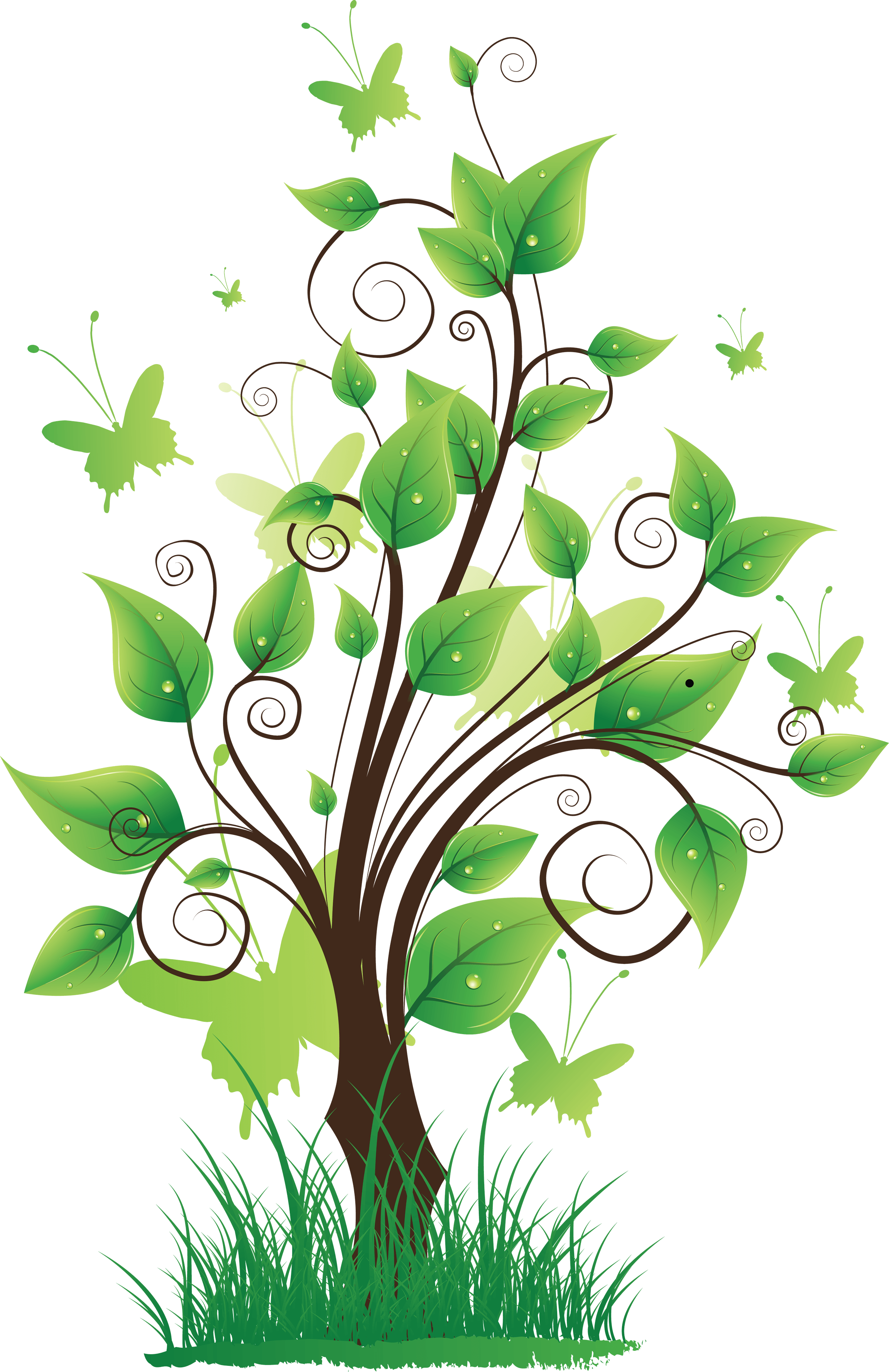 Tree Transparent PNG Image