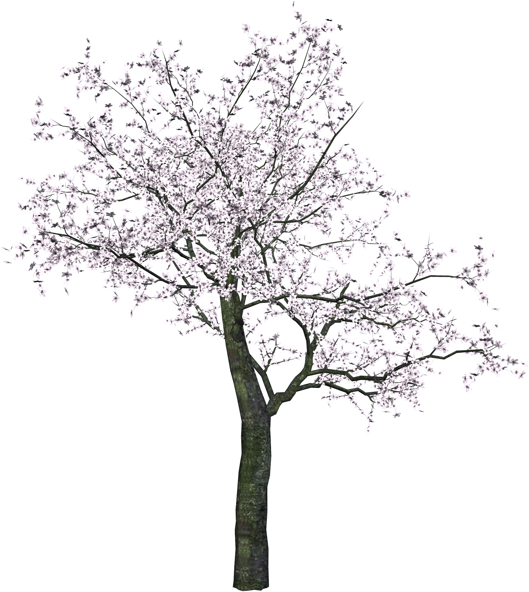 Tree Transparent PNG Image