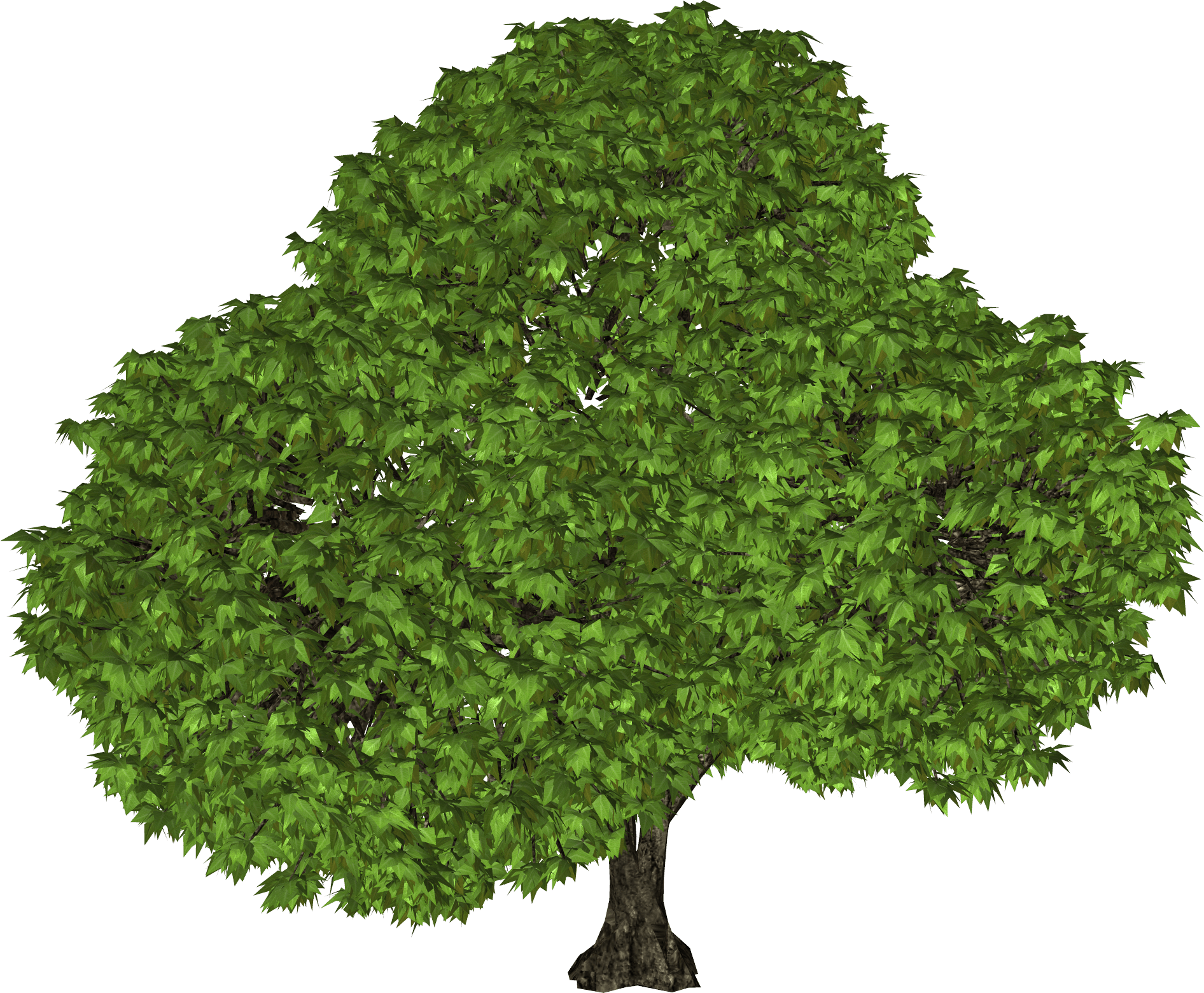 Tree Transparent PNG Image
