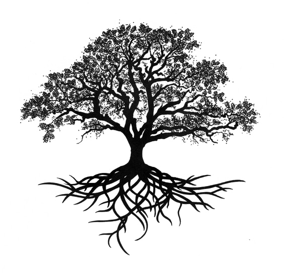 Oak Silhouette Tree Drawing Trees Transparent PNG Image