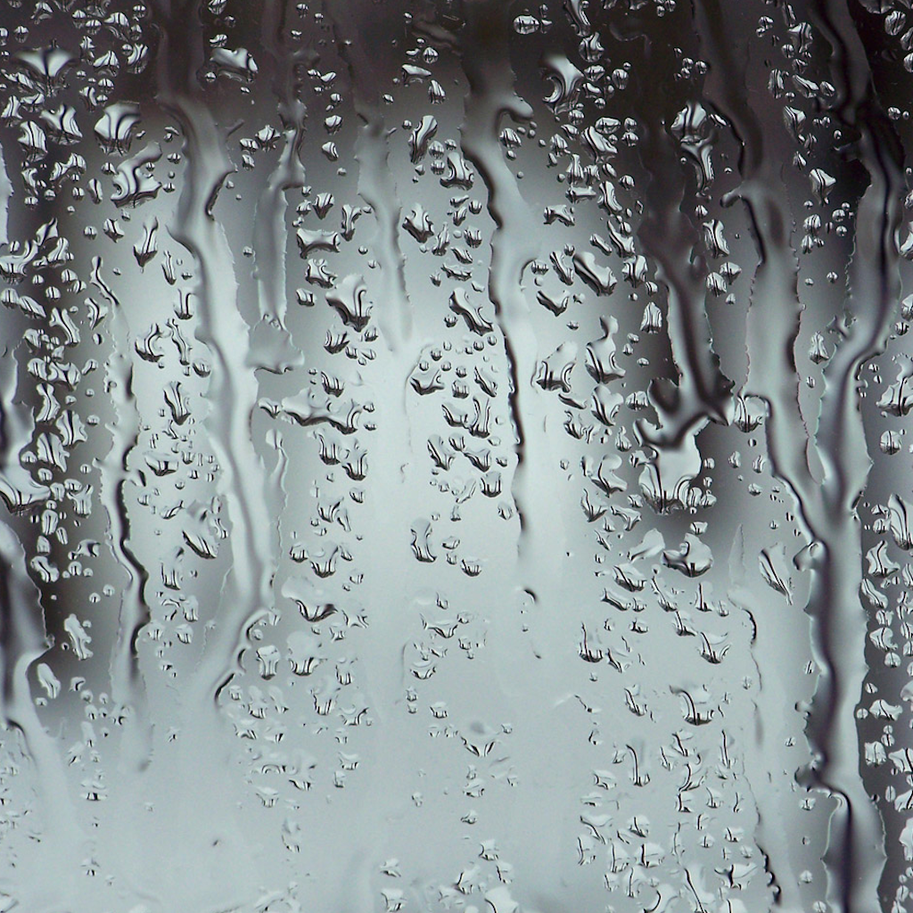 Frost Window Drop Tree Rain Transparent PNG Image