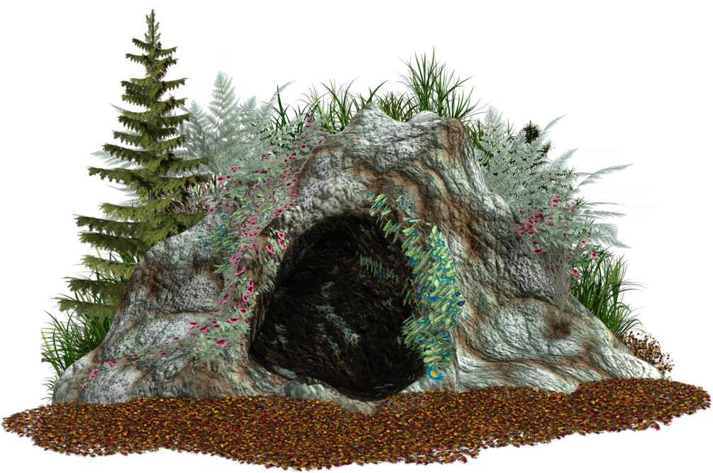 Houseplant Wheels Cave Plant Happy Transparent PNG Image