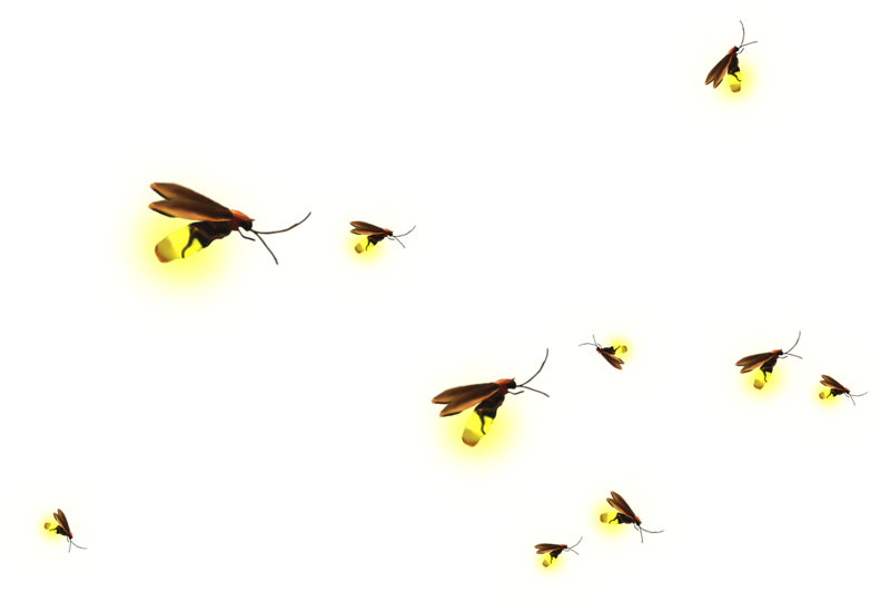 Triangle Garden graphy Pollinator Encapsulated Postscript Transparent PNG Image