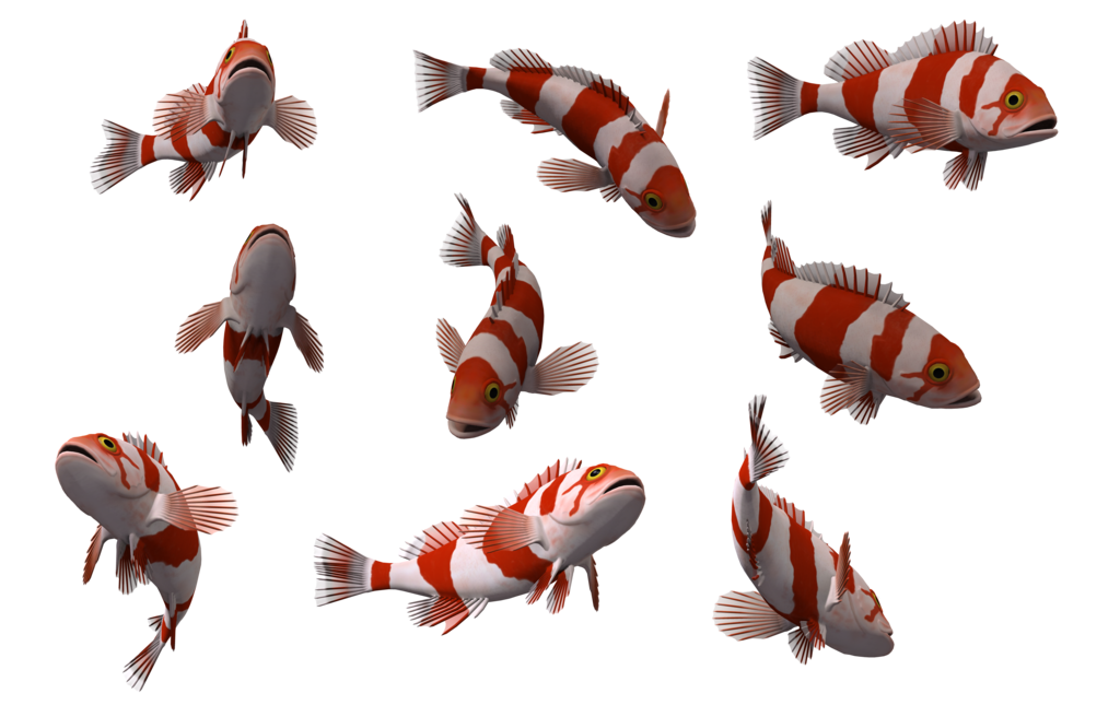 Fish 10 Transparent PNG Image