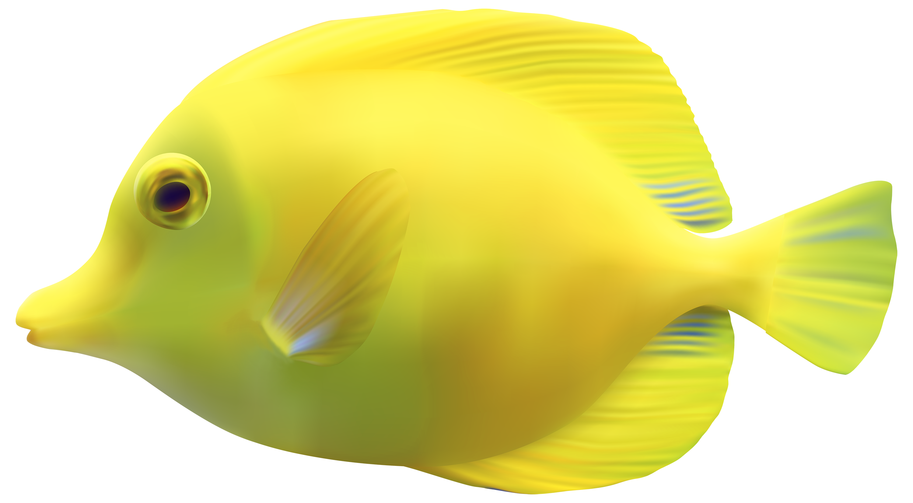 Fish 15 Transparent PNG Image