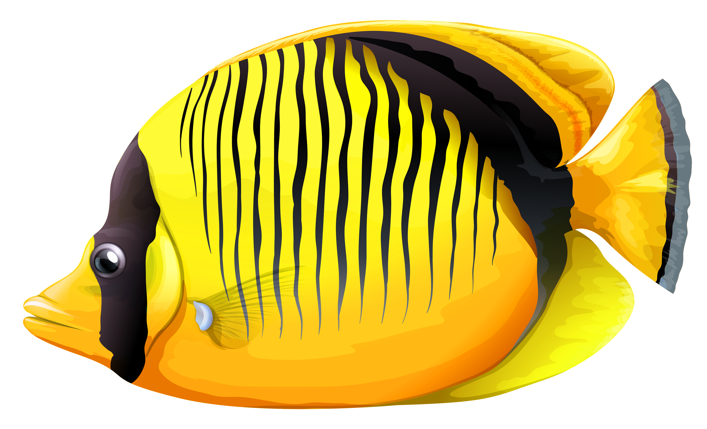 Fish 14 Transparent PNG Image