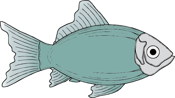 Fish Transparent PNG Image