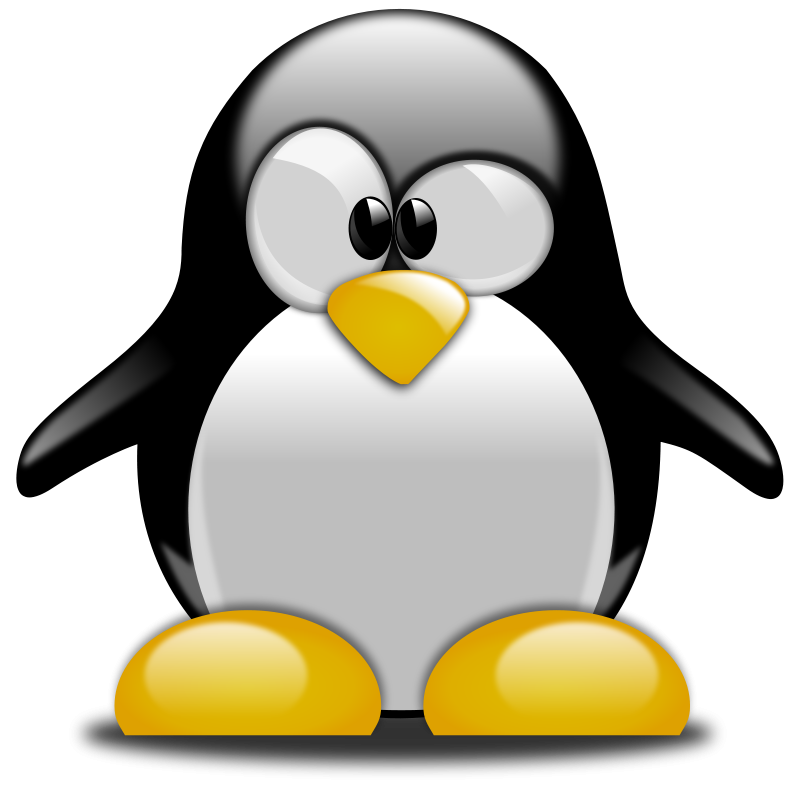 T-Shirt Tuxedo Penguin Transparent PNG Image