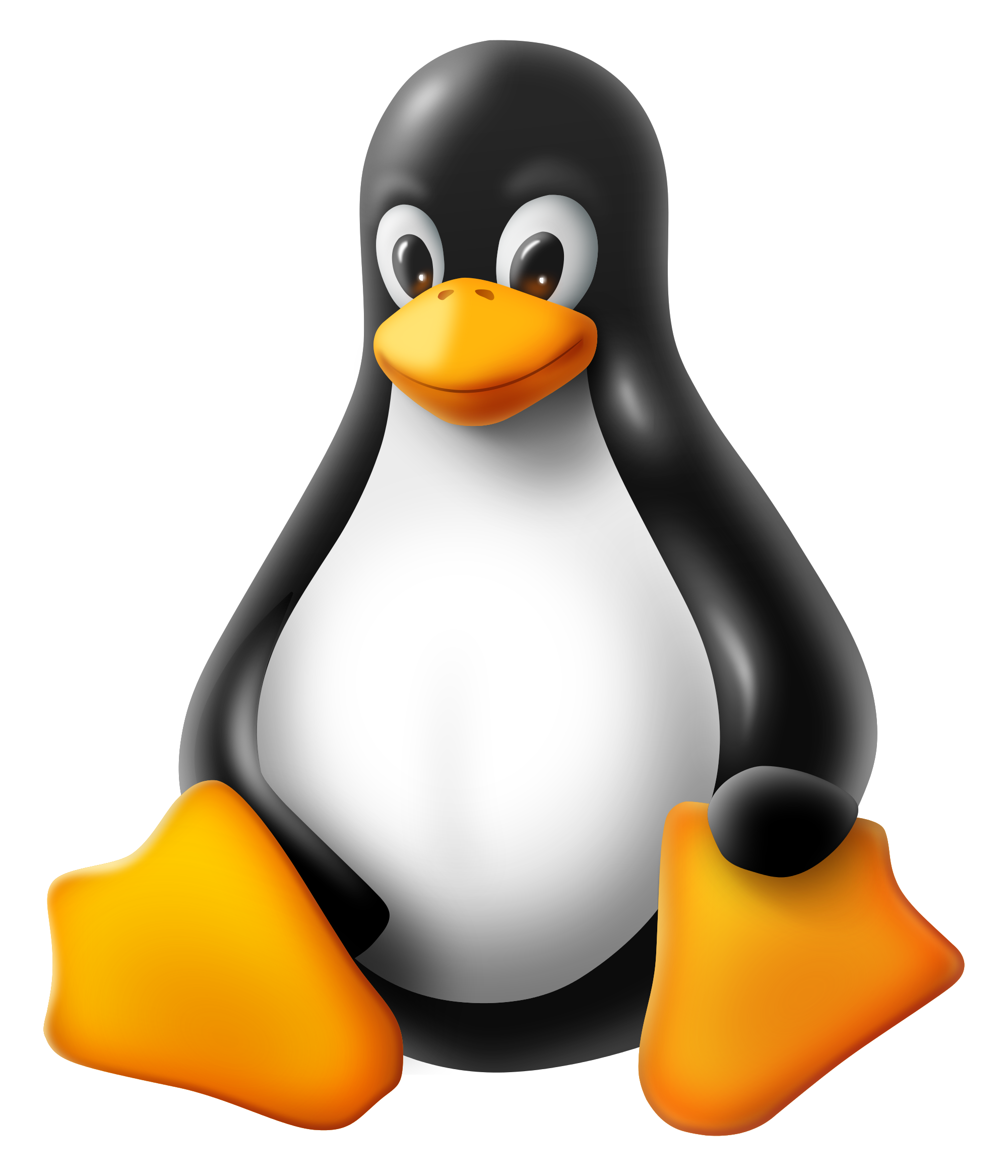 Tux T-Shirt Racer Kernel Linux File Transparent PNG Image
