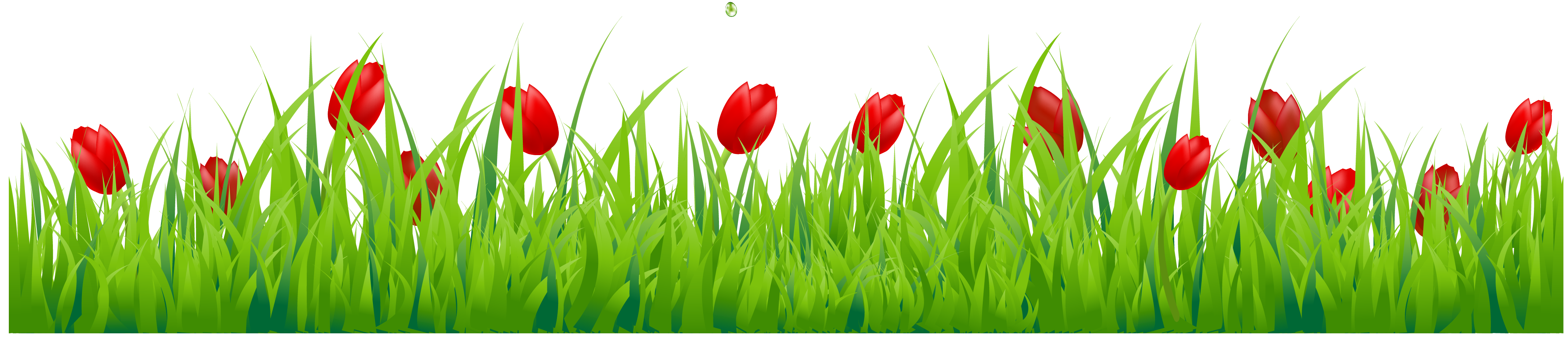 Tulip Transparent PNG Image