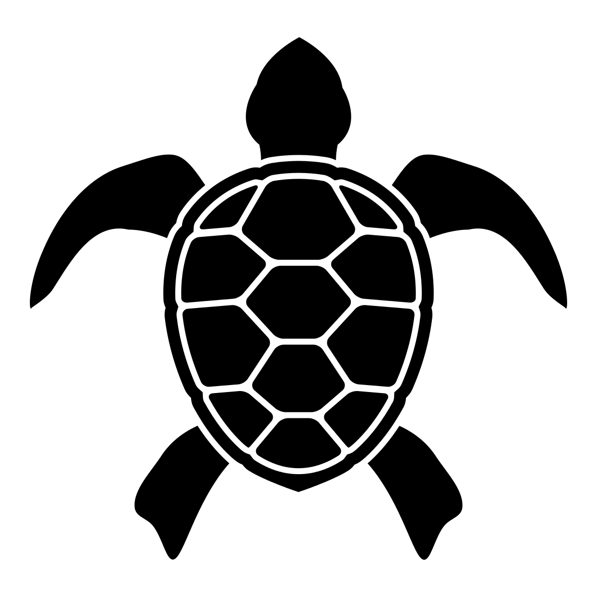 Turtle Coral Transparent PNG Image