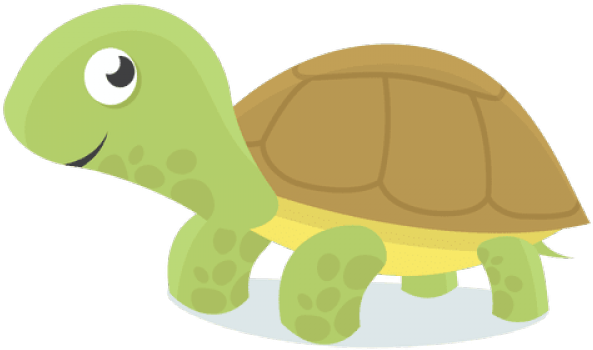 Turtle Green Transparent PNG Image