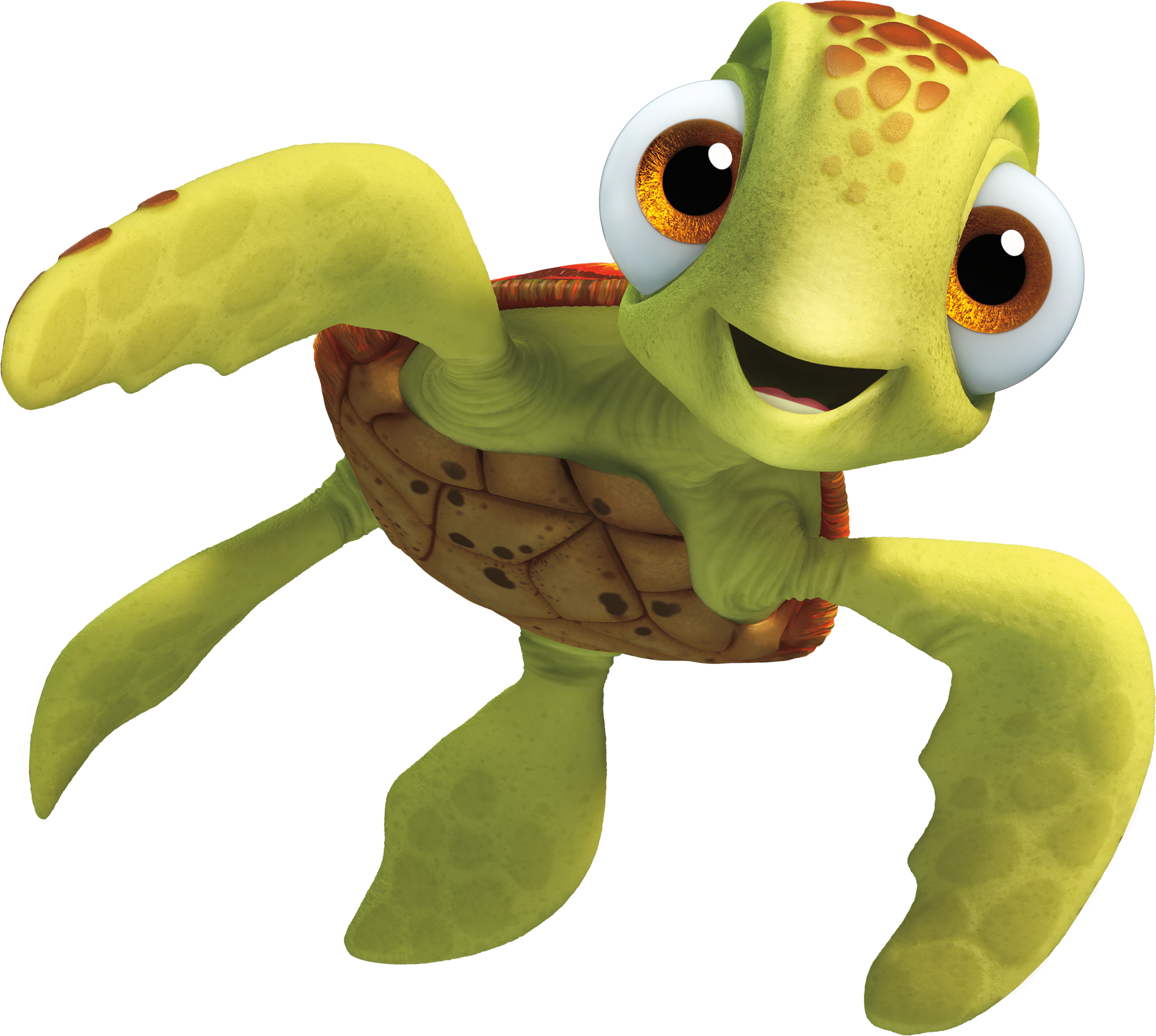Turtle Green File Transparent PNG Image