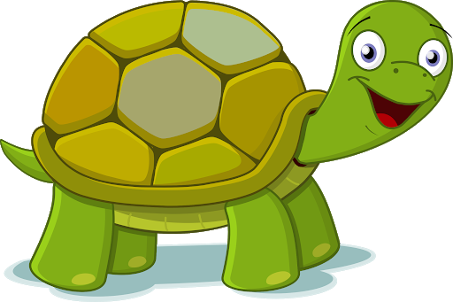 Turtle Green Transparent PNG Image