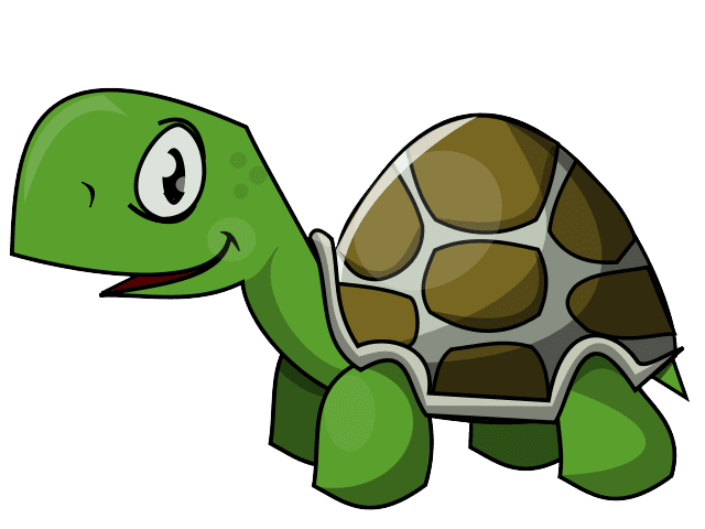 Turtle Green Transparent PNG Image