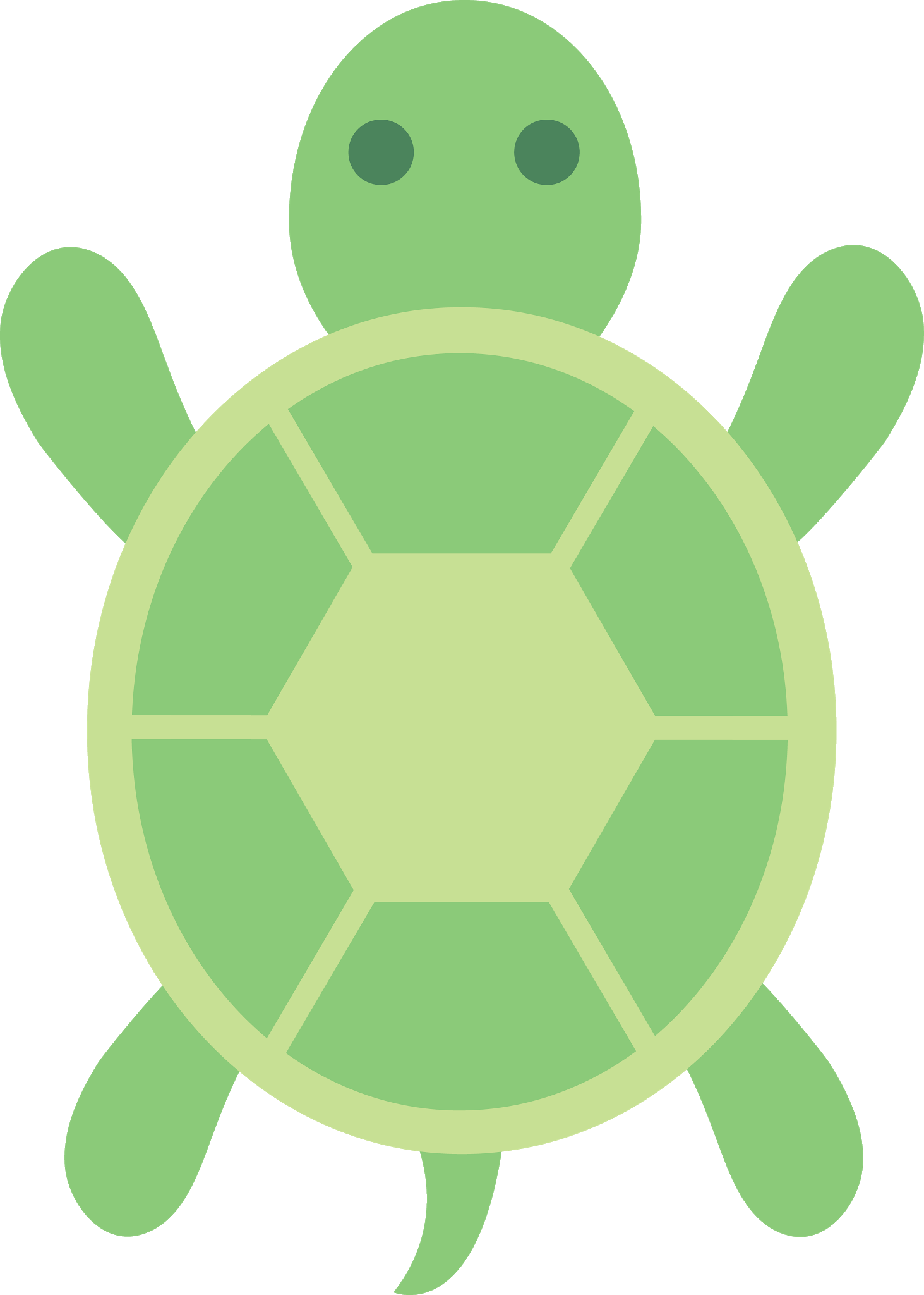 Turtle Green Transparent PNG Image