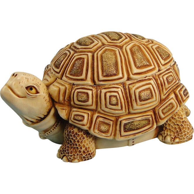 Box Turtle Background Transparent PNG Image
