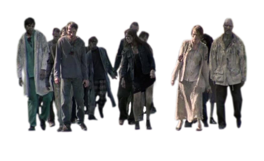 Twd Transparent PNG Image