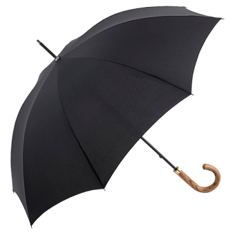 Umbrella Transparent PNG Image