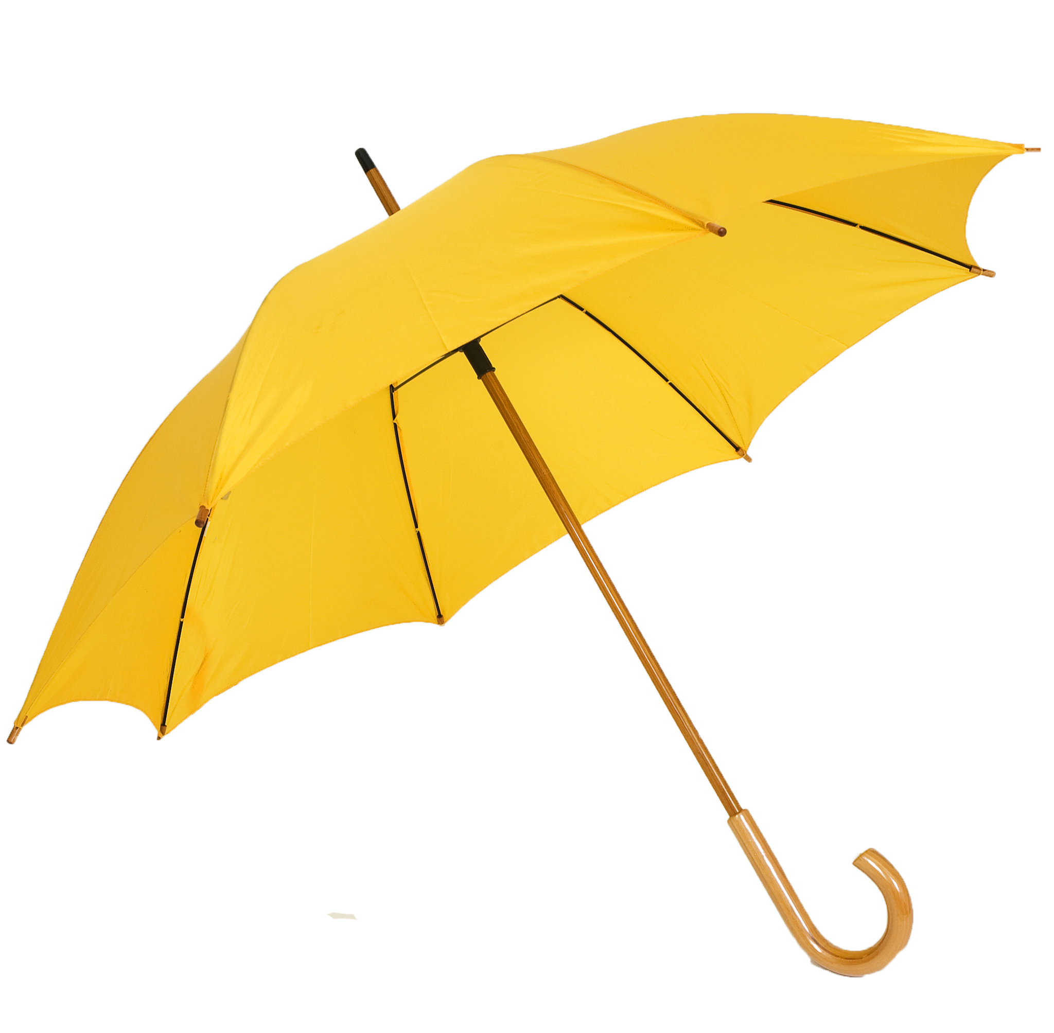Umbrella Transparent PNG Image