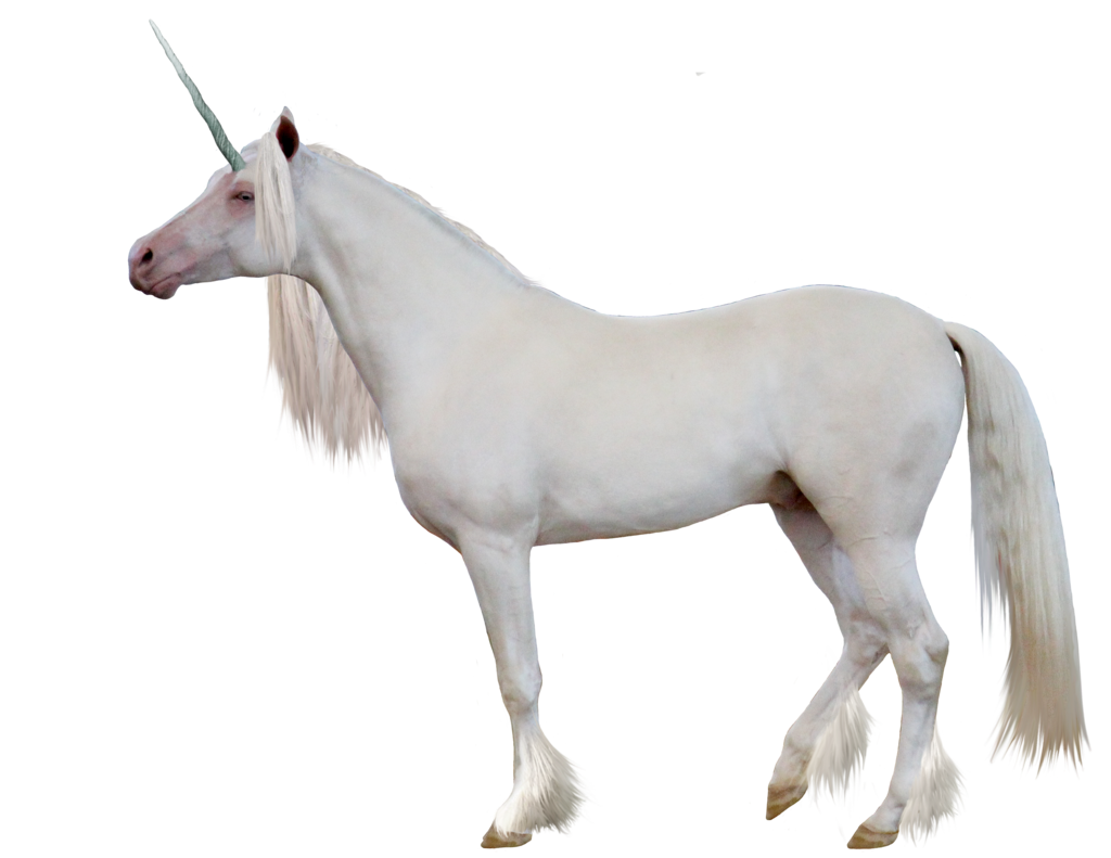 Unicorn Transparent PNG Image