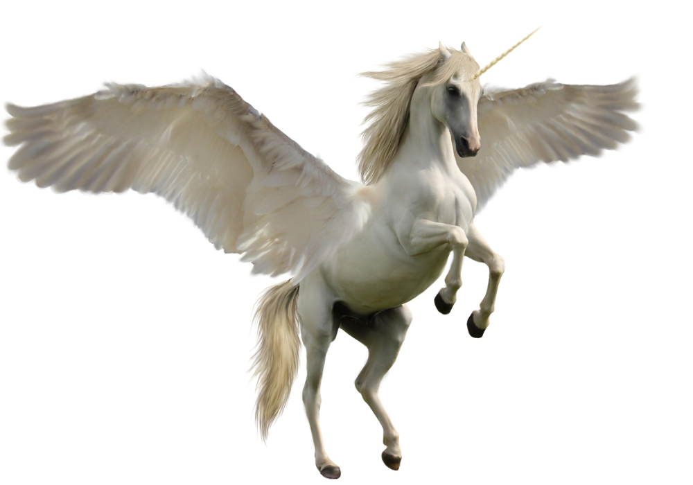 Unicorn Transparent PNG Image